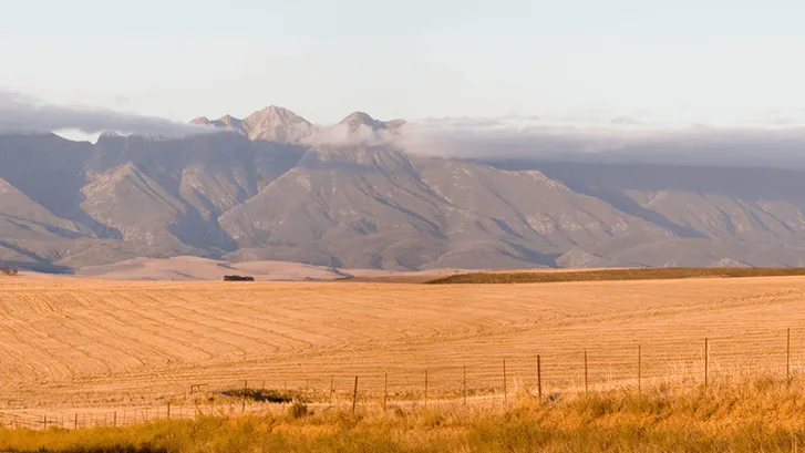 Ripe crops in agricultural plain in Tanzania against mountain range backdrop