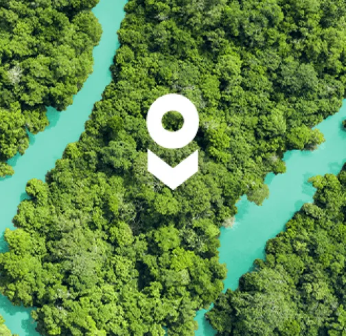 Informations de site Konnect